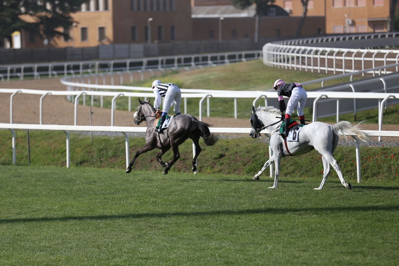 Ziyadd wins Listed Zayed Cup at Capanelle Race Course